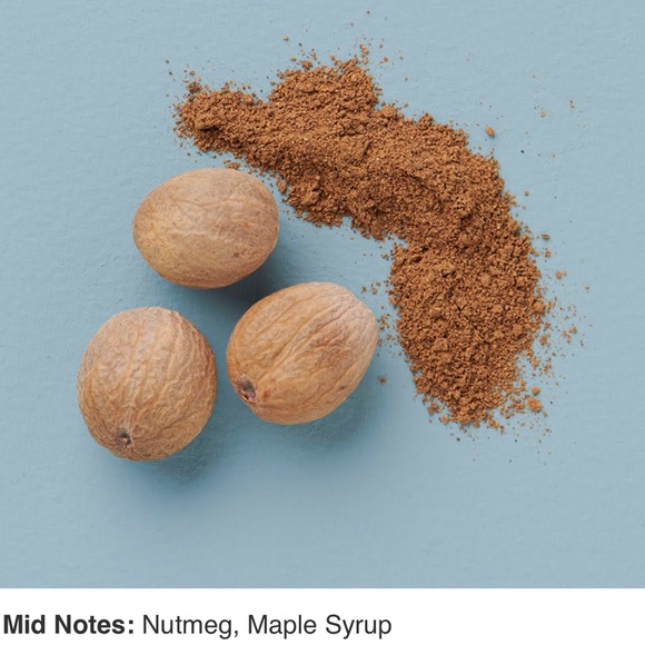 Large YANKEE CANDLE Whipped Pumpkin Spice 22 oz - Picture 4 of 11